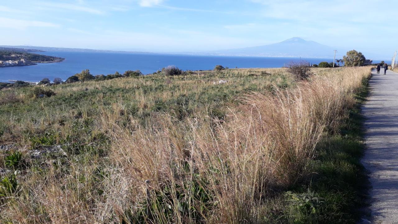 Casamare *